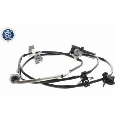 Q+,  Première Monte