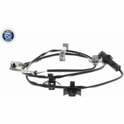 Q+,  Première Monte