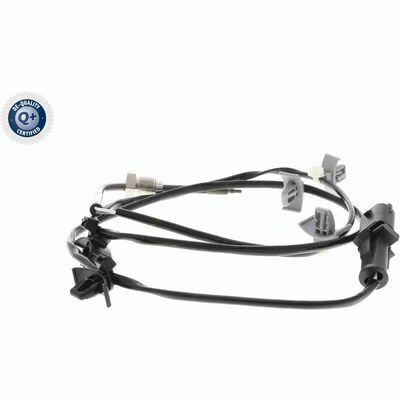 Q+,  Première Monte