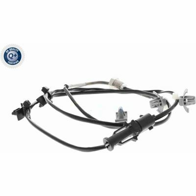 Q+,  Première Monte