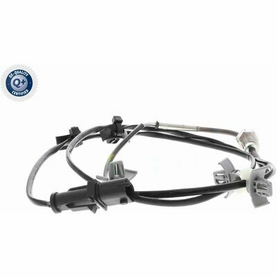 Q+,  Première Monte