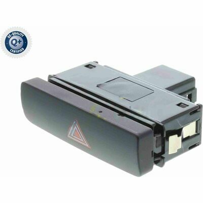 Q+,  Première Monte