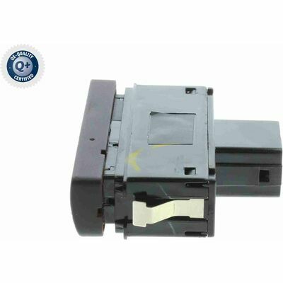 Q+,  Première Monte