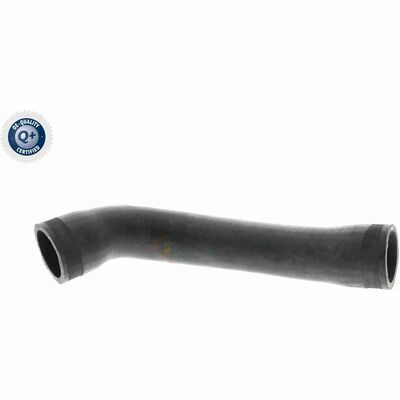 Q+, calidad de primer equipo