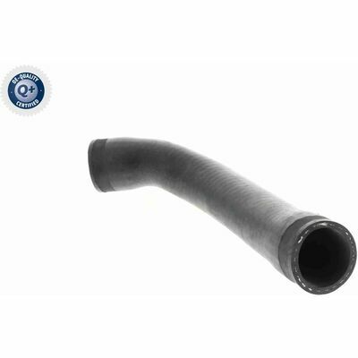 Q+, calidad de primer equipo