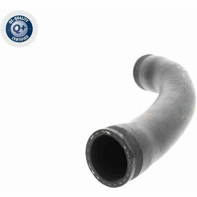 Q+, calidad de primer equipo