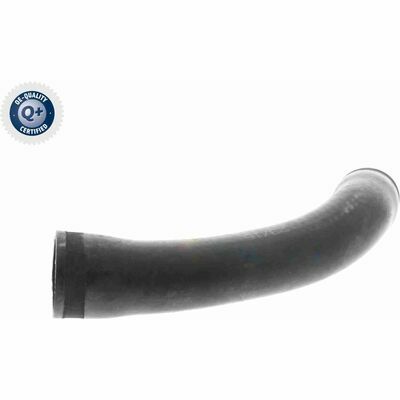 Q+, calidad de primer equipo