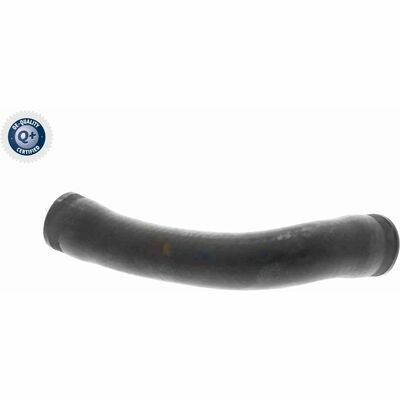 Q+, calidad de primer equipo