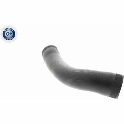 Q+, calidad de primer equipo