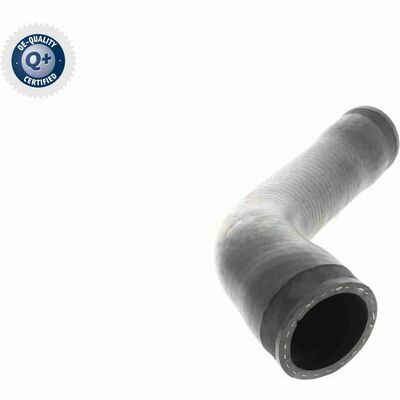 Q+, calidad de primer equipo