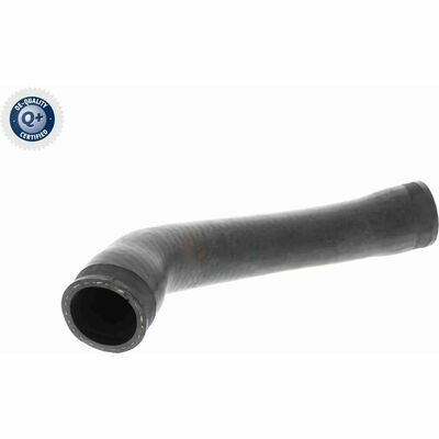 Q+, calidad de primer equipo