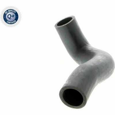 Original calidad de VAICO