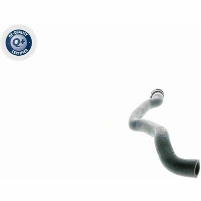 Original VAICO Qualität