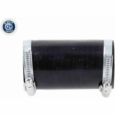 Q+,  Première Monte