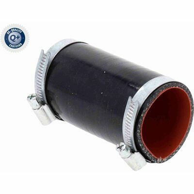 Q+,  Première Monte