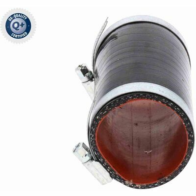 Q+,  Première Monte