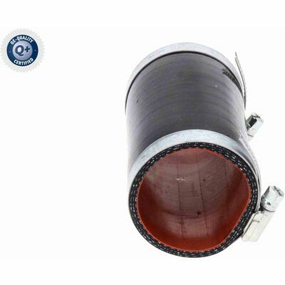 Q+,  Première Monte