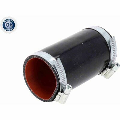 Q+,  Première Monte