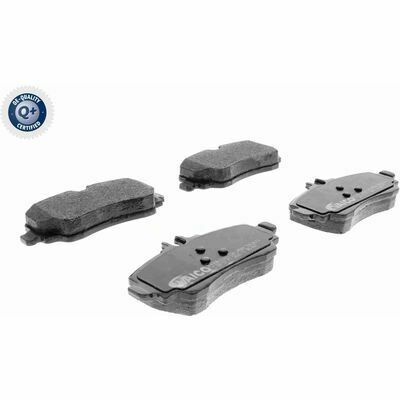 Q+,  Première Monte