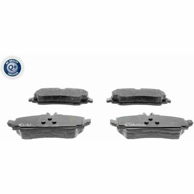 Q+,  Première Monte