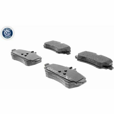 Q+,  Première Monte