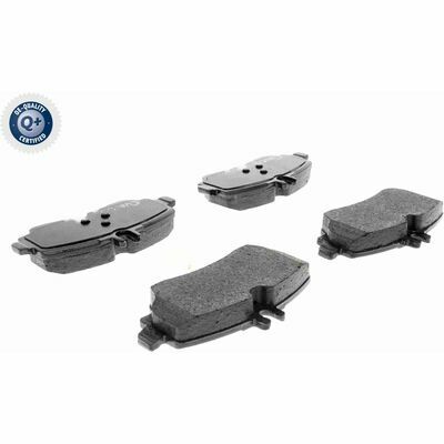 Q+,  Première Monte