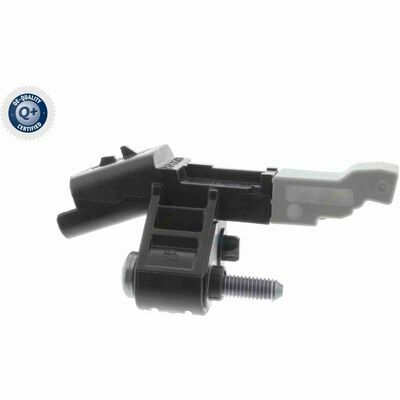 Q+,  Première Monte