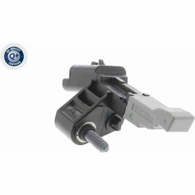 Q+,  Première Monte