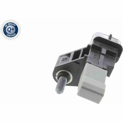 Q+,  Première Monte