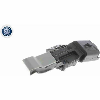 Q+,  Première Monte