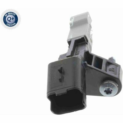 Q+,  Première Monte