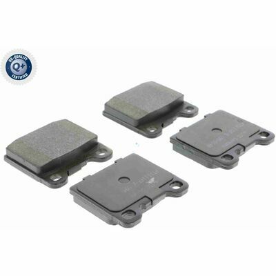 Q+,  Première Monte