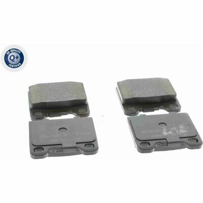 Q+,  Première Monte