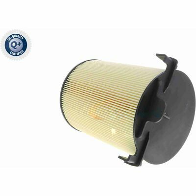 Q+,  Première Monte