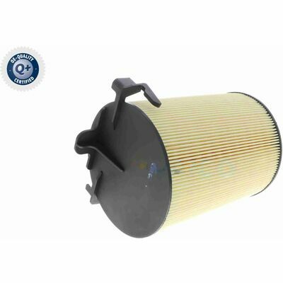 Q+,  Première Monte