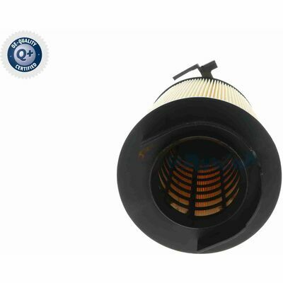 Q+,  Première Monte