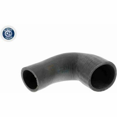 Q+, calidad de primer equipo