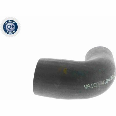 Q+, calidad de primer equipo