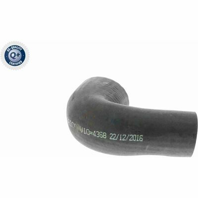 Q+, calidad de primer equipo