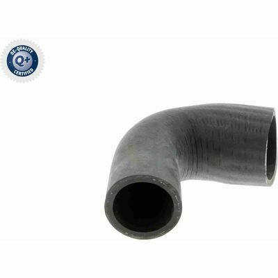 Q+, calidad de primer equipo