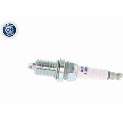 Q+,  Première Monte