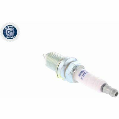 Q+,  Première Monte