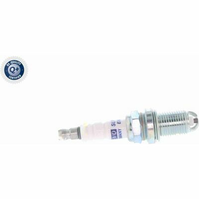 Q+,  Première Monte