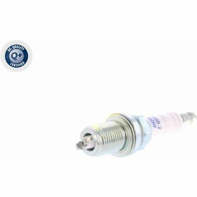 Q+,  Première Monte