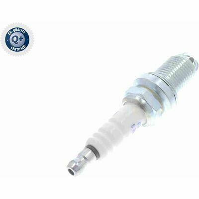 Q+, calidad de primer equipo