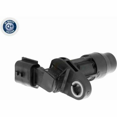 Q+ qualità di primo fornitore