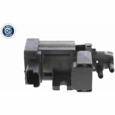 Q+,  Première Monte