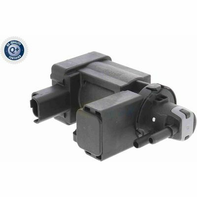 Q+,  Première Monte