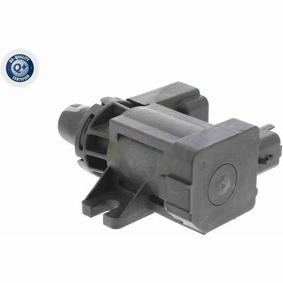 Q+,  Première Monte