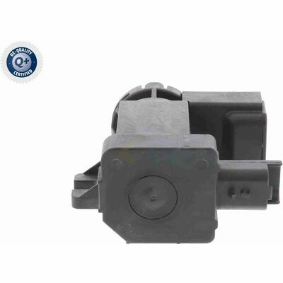 Q+,  Première Monte